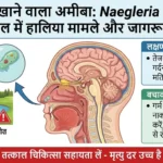 What is the brain-eating amoeba that has claimed two lives in Kerala?