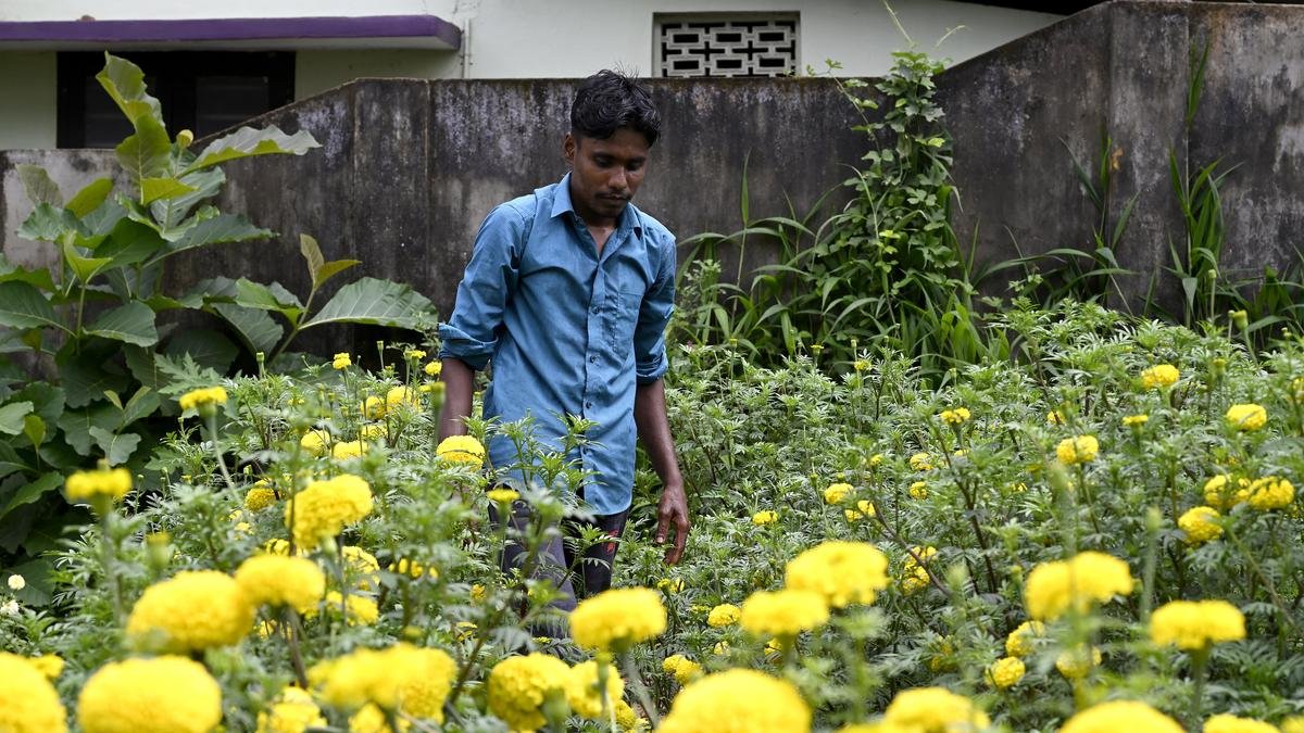 ओणम 2024: वट्टियोरकावु जंक्शन को निवासियों द्वारा उगाए गए फूलों और सब्जियों के साथ बगीचे में बदल दिया गया