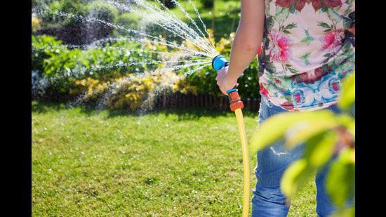 तृतीयक उपचार के माध्यम से रासायनिक उपचार और अवसादन प्रक्रिया के माध्यम से सीवेज जल को सिंचाई के लिए उपयुक्त बनाया जाता है। (NinaMalyna - Stock.adobe.com)