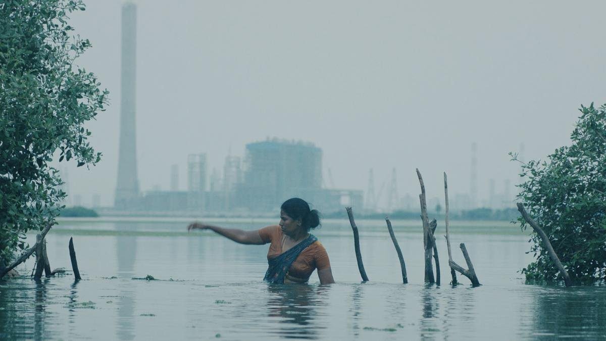 ऑल लिविंग थिंग्स एनवायर्नमेंटल फिल्म फेस्टिवल 2024 20 राज्यों में 110+ स्क्रीनिंग की मेजबानी करेगा
