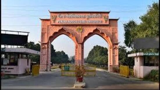 फसल अवशेष जलाने का सहारा लेने वाले अधिकांश किसानों का दावा है कि धान की कटाई और गेहूं की बुआई के बीच बहुत कम समय होता है, जिससे उन्हें अपने खेतों में पराली को आग लगाने के लिए मजबूर होना पड़ता है। (एचटी फ़ाइल)