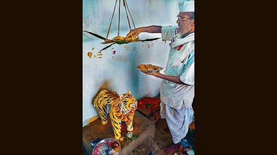 गाँव का एक बुजुर्ग चिमुरकर समुदाय के