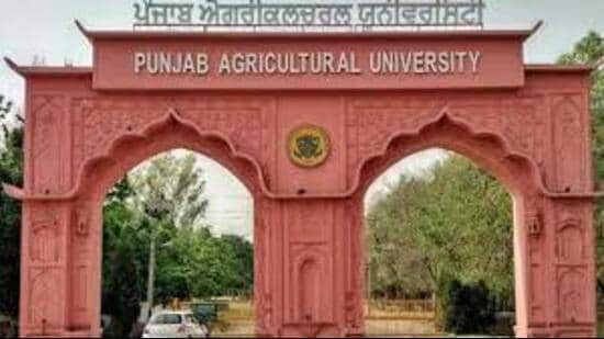वैश्विक चर्चा पंजाब कृषि विश्वविद्यालय (पीएयू), लुधियाना में आयोजित की जा रही है। (एचटी फोटो)