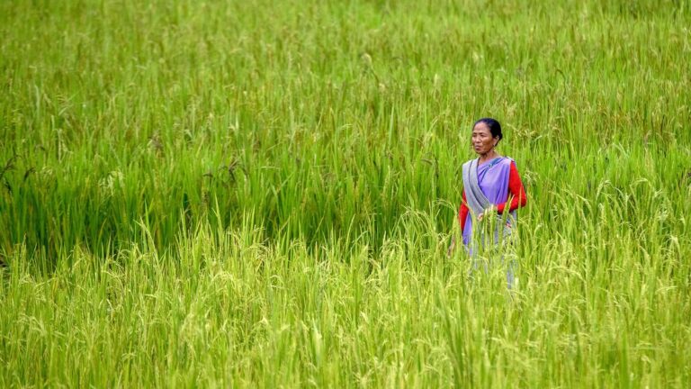 JarnyOn द्वारा मेघालय का तैयार किया गया पाककला पथ