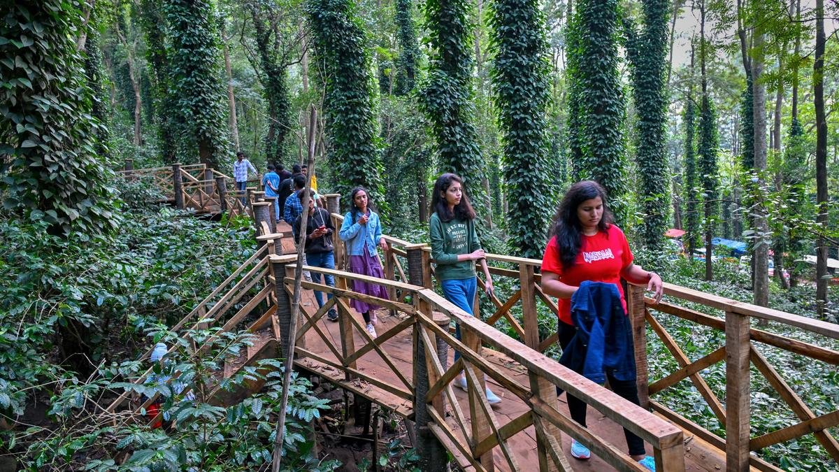 यात्रा: इस सर्दी के मौसम में अराकू के शांत परिदृश्य, आदिवासी संस्कृति और कृषि जीवन का अनुभव करें