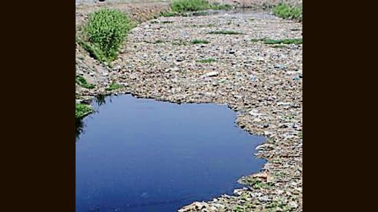 कार्यकर्ता बुद्धा नाला प्रदूषण को लेकर कार्रवाई की मांग को लेकर प्रदर्शन कर रहे हैं. (एचटी फ़ाइल)