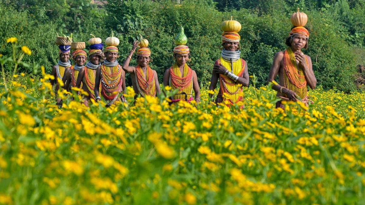 विशाखा कैमरा क्लब 20 दिसंबर से फोटोग्राफी प्रदर्शनी के साथ 25 साल पूरे होने का जश्न मना रहा है