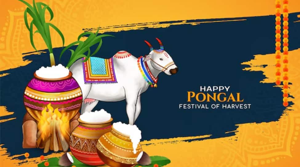 हैप्पी पोंगल 2025: परिवार और दोस्तों के साथ साझा करने के लिए शीर्ष 50 शुभकामनाएं, संदेश और उद्धरण