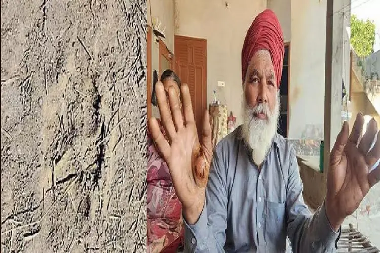 मैन-एनिमल संघर्ष: अज्ञात जंगली पशु के हमले, 3 बठिंडा के भिसियाना गांव के पास