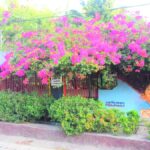 थिरुवनंतपुरम में वॉल आर्ट जिसमें बोगनविलिया ब्लूम्स की विशेषता है, एक मुस्कुराते हुए चेहरे पर विलय