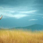 मलयालम लघु फिल्म 'पूवू' प्यार और हानि के विचारों की पड़ताल करती है