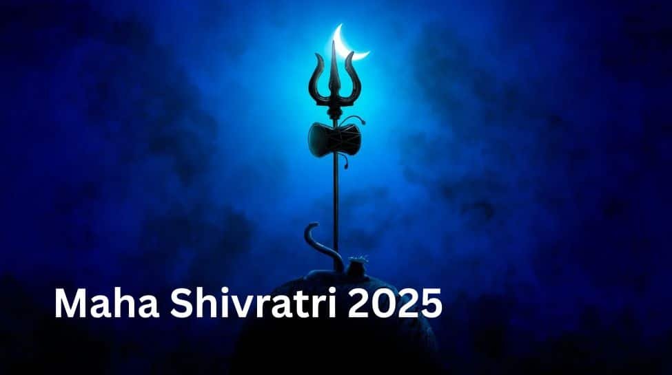 महा शिव्रात्रि 2025 उपवास नियम: इस समय तेजी से तोड़ें, चावल न खाएं - डॉस और डॉन की जाँच करें