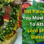 महा शिव्रात्रि 2025: बेल पटरा नियम आपको भगवान शिव के आशीर्वाद को आकर्षित करने और इन सामान्य गलतियों से बचने के लिए पालन करना चाहिए