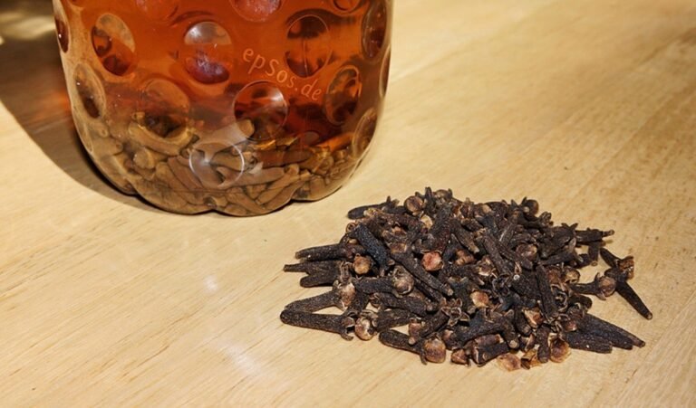 Clove Health Benefits