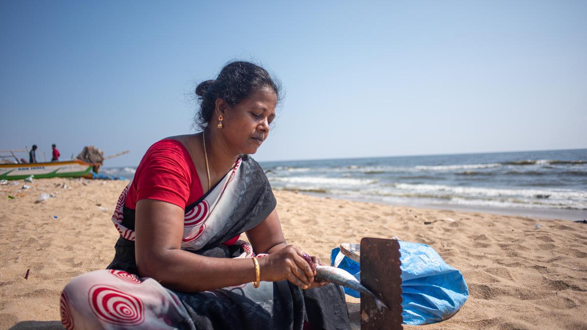 कोरोमैंडल तट से समुद्री भोजन व्यंजनों