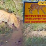 केओलादेव