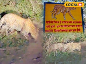 केओलादेव