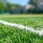 रोहित शर्मा 'फैट' रो:युवराज सिंह के पिता, योगराज सिंह ने रोहित शर्मा का किया बचाव