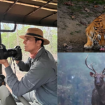 Randeep HOODA ने आश्चर्यजनक वन्यजीव फोटोग्राफी के साथ विश्व वन्यजीव दिवस मनाया, पिक्स देखें