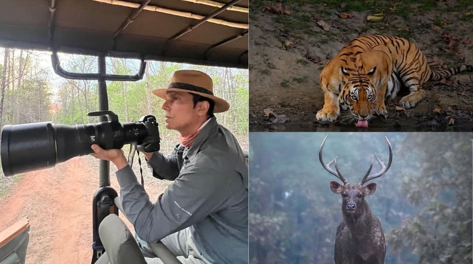 Randeep HOODA ने आश्चर्यजनक वन्यजीव फोटोग्राफी के साथ विश्व वन्यजीव दिवस मनाया, पिक्स देखें