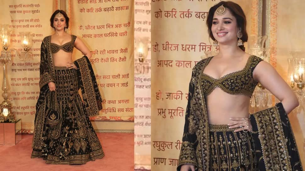 Zee Cine अवार्ड्स 2025 में, तमन्नाह भाटिया नेपोटिज्म डिबेट पर खुलता है