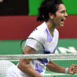 अक्षय लोकापल्ली और विजय लोकपली की नई पुस्तक नेट फ्लिक्स की समीक्षा - शटल के साथ भारत का स्मैशिंग अफेयर