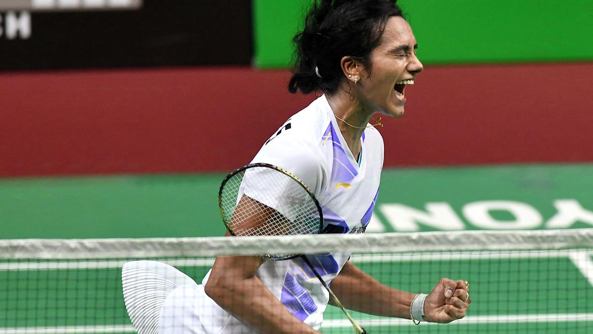 अक्षय लोकापल्ली और विजय लोकपली की नई पुस्तक नेट फ्लिक्स की समीक्षा – शटल के साथ भारत का स्मैशिंग अफेयर