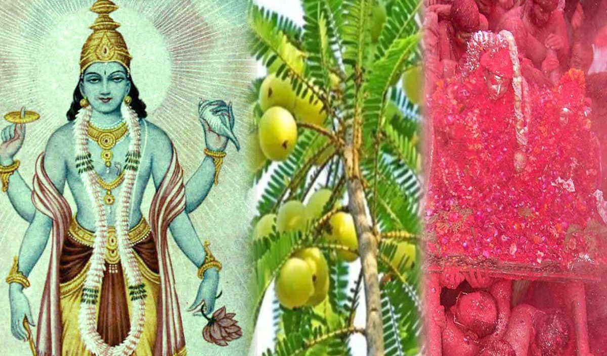 अमलाकी एकादशी 2025: अमलाकी एकाडाशी पर अमला ट्री की पूजा की जाती है