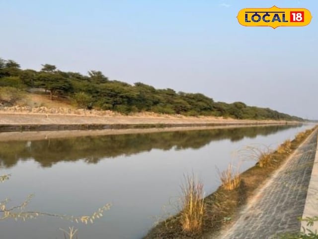 किसान भाई ध्यान दें! क्षतिग्रस्त अस्तर की मरम्मत पंजाब में की जाएगी ...