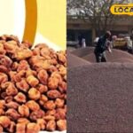 किसानों के लिए अच्छी खबर, एमएसपी पर ग्राम और सरसों की खरीद, दर को जानें