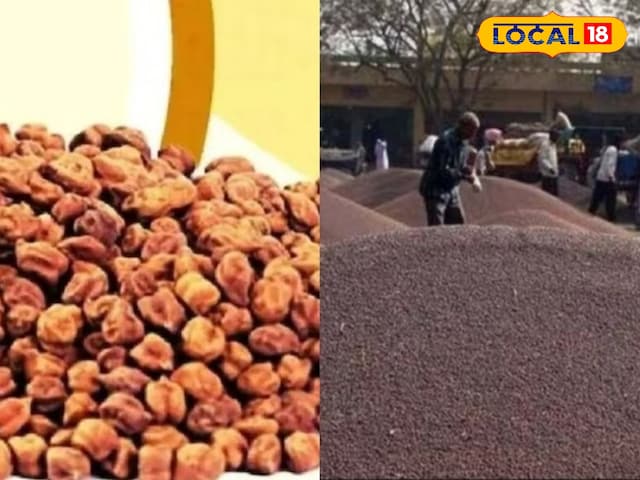 किसानों के लिए अच्छी खबर, एमएसपी पर ग्राम और सरसों की खरीद, दर को जानें