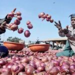 केंद्र 1 अप्रैल से प्याज पर 20 प्रतिशत निर्यात शुल्क वापस लेता है