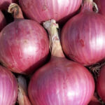 केंद्र प्याज निर्यात पर ड्यूटी वापस ले लेता है: क्यों सरकार इन कर्तव्यों को ले जाती है और यह आम आदमी को कैसे प्रभावित करता है