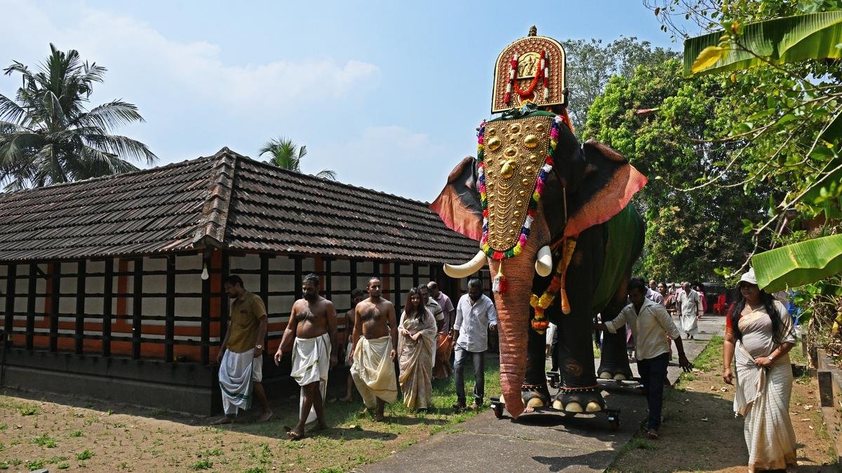 केरल निर्मित यांत्रिक हाथी दक्षिण भारत में मंदिरों में अपना रास्ता बना रहे हैं