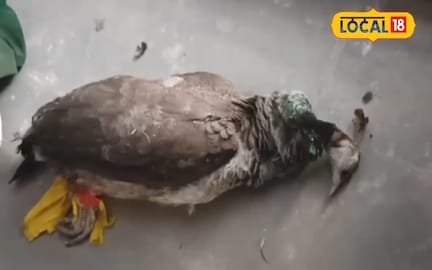 मृत