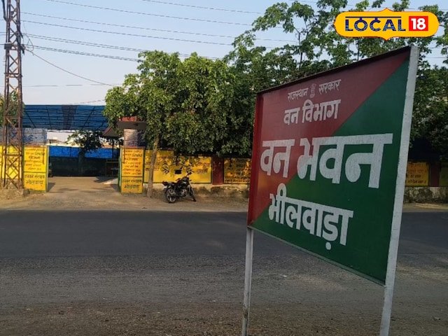 डिजिटल इंडिया: भिल्वारा वन विभाग के सभी डेटा ऑनलाइन किए गए हैं, अब सभी काम आसानी से घर पर बैठे रहेंगे, चप्पल कार्यालय में नहीं पहने जाएंगे