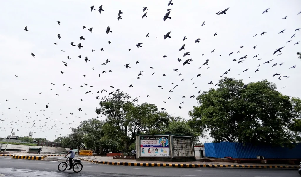 तेज हवा के कारण दिल्ली की हवा बहुत साफ है, AQI तीन वर्षों में सबसे कम पहुंच गया