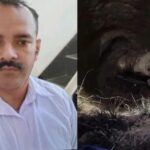 पति के आशिक योग शिक्षक द्वारा पति ने 7 फीट के गड्ढे में जिंदा दफनाया!