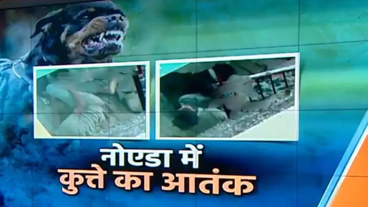 पिटबुल, पिटबुल अटैक, पिटबुल अटैक वीडियो, पिटबुल अटैक नोएडा
