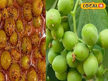 लेसवा