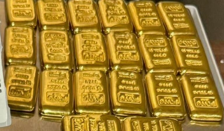 gold biscuit