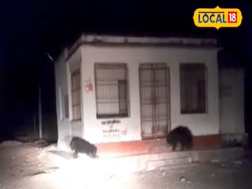 रात में पाली में देखने जा रहा था, ऐसी चीज कार के सामने आई, आवाज बंद हो गई, आँखें फटी हुई थीं