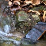 वाटरप्रूफ बनाम वाटर-एडजस्टेंट: स्मार्टफोन खरीदने से पहले अंतर जानें