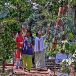 विशाखापत्तनम का जैव विविधता पार्क 23 साल का हो गया: 2,000 से अधिक पौधों की प्रजातियों के साथ एक वनस्पति खजाना