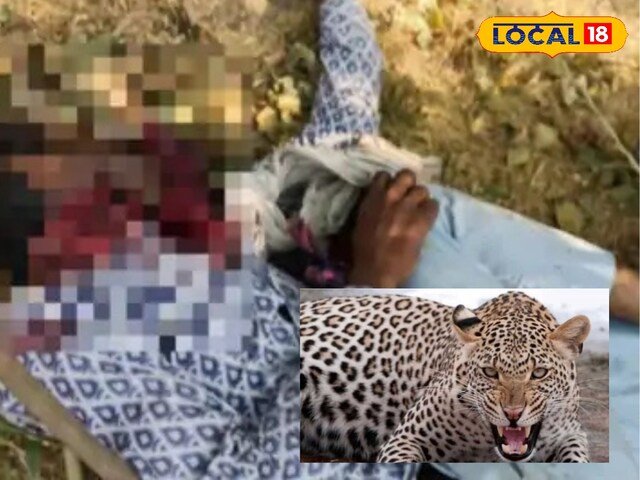 शेफर्ड पाली में बकरी को चराई कर रहा था ... यह खूंखार जानवर आ रहा था, फिर चीखने की जोर से आवाज निकली