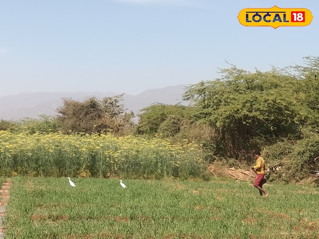 31 मार्च से पहले, किसानों को ये काम करना चाहिए, अन्यथा वे योजनाओं के लाभों से वंचित होंगे