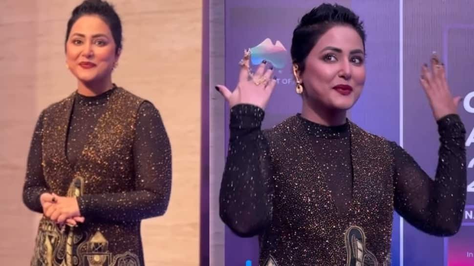 हिना खान विग पहने हुए, पहली बार पोस्ट-कैंसर निदान के लिए अपने असली बालों को गले लगाते हैं, वीडियो देखें