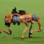 IPL 2025 अपनी प्रसारण टीम के लिए एक रोबोट कुत्ते का परिचय देता है