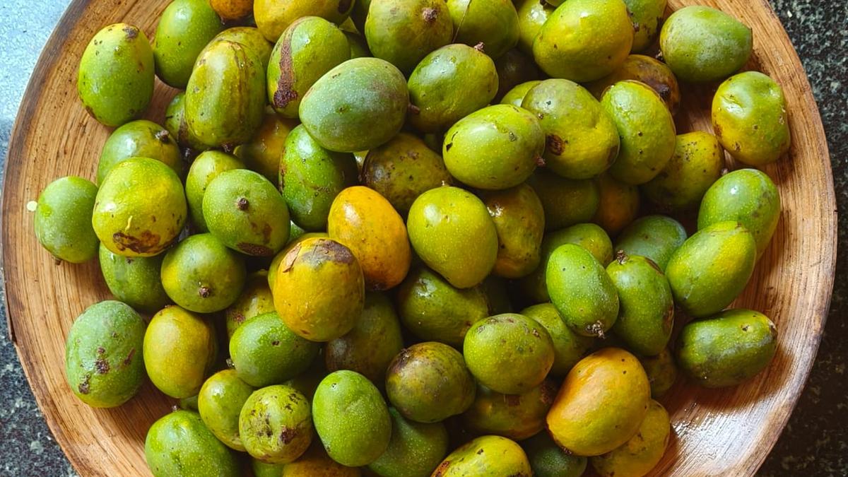 आप केरल के मूल आमों को कितनी अच्छी तरह से जानते हैं?