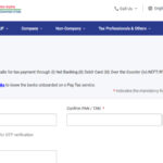 आयकर रिटर्न फाइलिंग: अब 'ई-पे टैक्स' सुविधा के साथ कुछ ही क्लिकों में कर का भुगतान करें, यहां पूर्ण विवरण